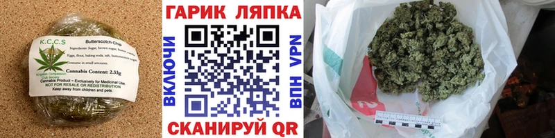Canna-Cookies конопля  Елизаветинская 