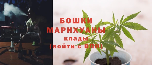 ALPHA-PVP Горняк