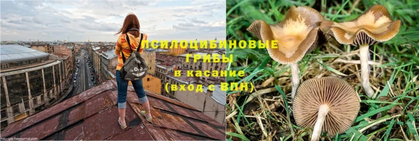спайс Горнозаводск