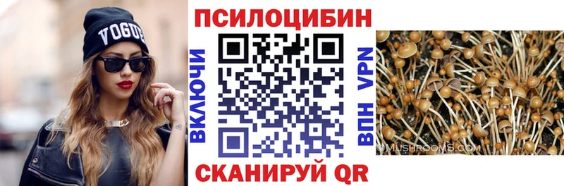 Галлюциногенные грибы мицелий закладка Елизаветинская